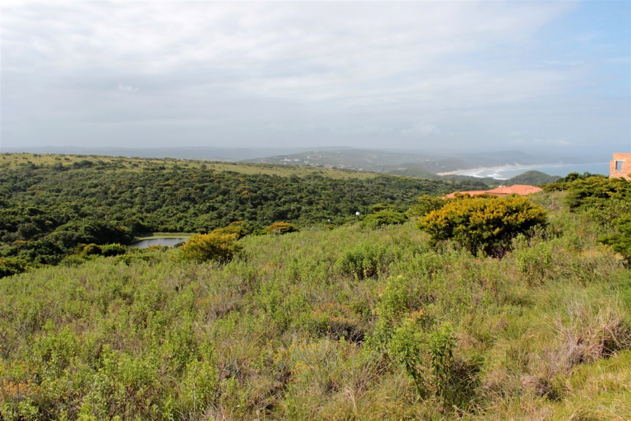 0 Bedroom Property for Sale in Khamanga Bay Eastern Cape